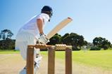 Cricket_getty