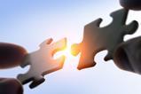 mergerpuzzle