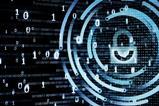 cyber liability