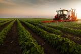agriculture, farming