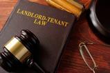 landlord protection