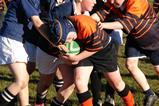 rugby