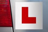 learner
