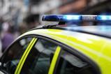 police car