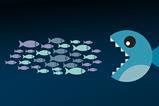 consolidation, fishes