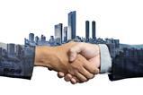 shake hands