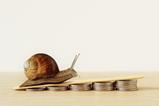snail