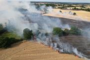 wildfire (2)