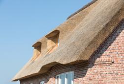 thatchedroof