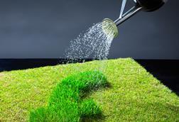 economic growth, grass, watering can