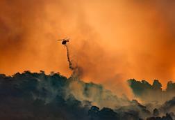 wildfire