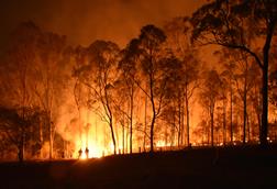 wildfire