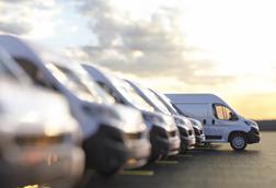 van fleet