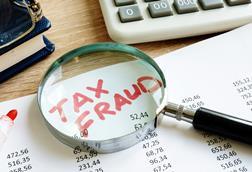 tax fraud magnify 