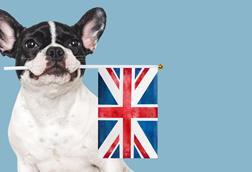 dog uk