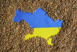 Ukraine grain 