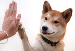 high five
