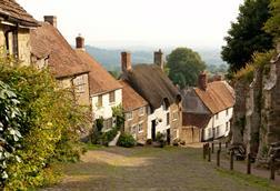 thatched house