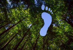 carbon footprint