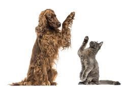 highfive (10)