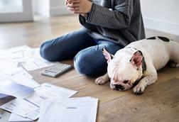pet insurance