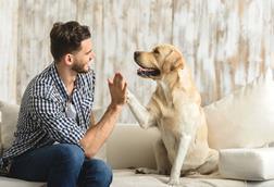 High Five
