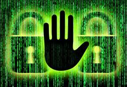 backstop, cyber