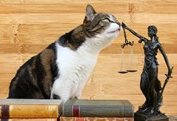 pet legislation