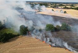 wildfire (2)