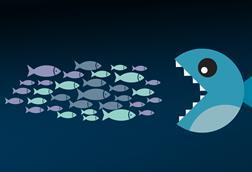 consolidation, fishes