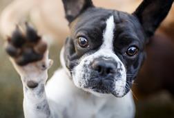 GettyImages-876314938