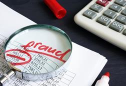 fraud magnify