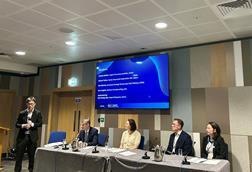 Protection Gaps Panel