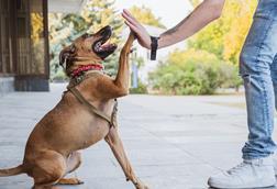 GettyImages-1173902011