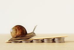 snail