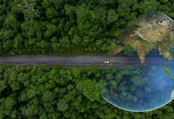 green car insurance