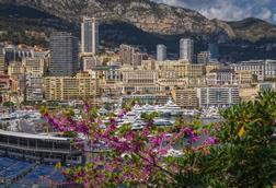 Monaco Monte Carlo Reinsurance