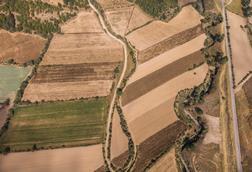 drought (2)