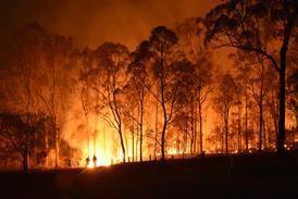 wildfire
