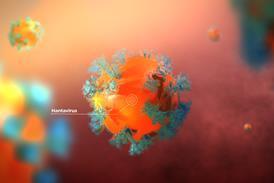 hantavirus
