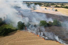 wildfire (2)