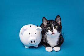 pet insurance prices