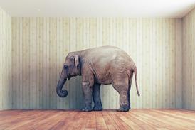 elephant in the room