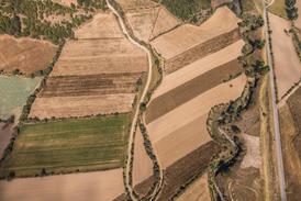 drought (2)