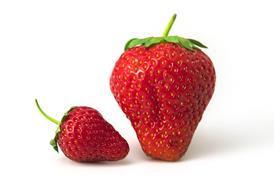 big and small, strawberry