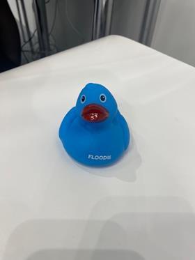 Flood Re duck
