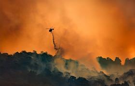 wildfire