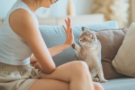 GettyImages-2148037639