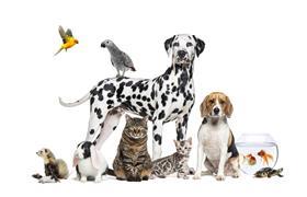GettyImages-2173353480