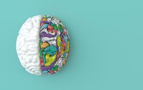 brain, neurodiversity